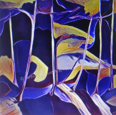 Galerie